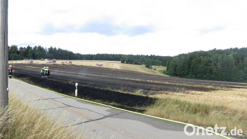 Auf diesem Bild ist zu erkennen, wie groß die verbrannte Fläche ist. Bild: piam