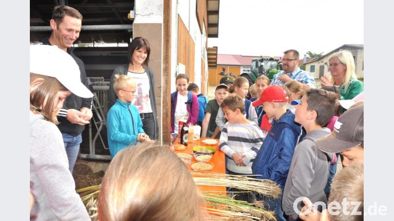 Martin und Christine Kick (links) gaben den Grundschülern einen Einblick in die Arbeit auf ihrem Bauernhof. Die Kinder sowie die Lehrer Karin Uhl und Thomas Troidl waren von der Führung sehr angetan. Ein Thema ist Getreide und was man daraus alles machen kann. Bild: es