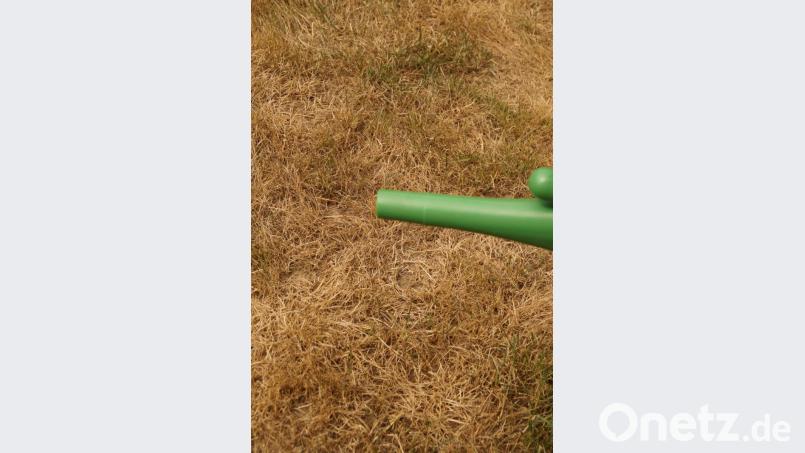 Ist der Rasen im Garten noch so braun, sollen die Bürger darauf verzichten ihn zu gießen und kein Auto waschen. Bild: arw