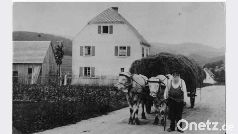 Der Landwirt und Bader Johann Xaver Walbrunn, Urgroßvater von Altbürgermeister Johann Walbrunn, ist am 4. Juli 1929 mit seinem Ochsengespann und der Heufuhre auf der Neuenhammerstraße auf dem Heimweg. Kurz darauf bricht das Unwetter los. Repro: tu