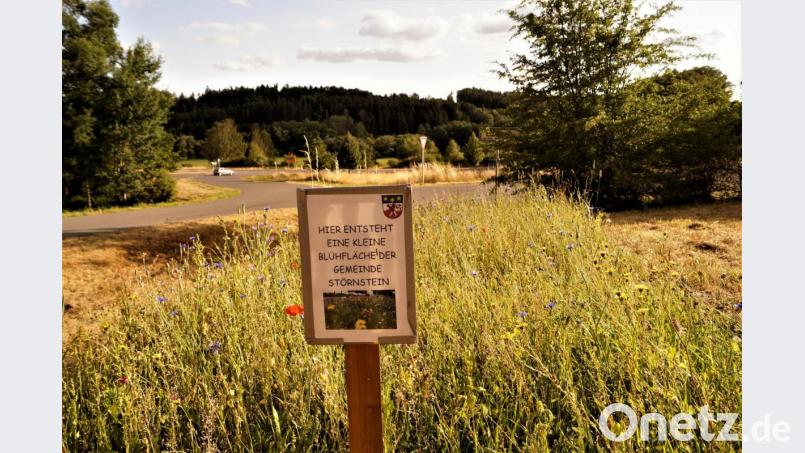 Mit kleinen Blühflächen will die Gemeinde Störnstein etwas für den Insektenschutz tun. Bild: arw