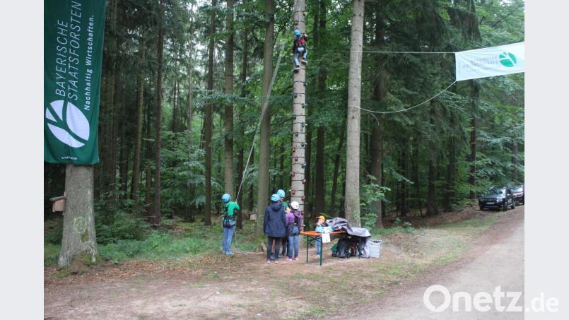 Der Wald hat einiges zu bieten: am Tag der offenen Tür an der Köhlerhütte gab´s viel zu erleben. Bild: sne