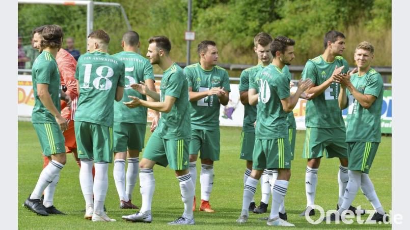 Zehn Spieler verließen den Verein, zwölf Spieler kamen. Viele neue Gesichter gibt es bei der DJK Ammerthal vor dem Anpfiff zur Bayernliga-Saison 2019/20. Bild: Ziegler