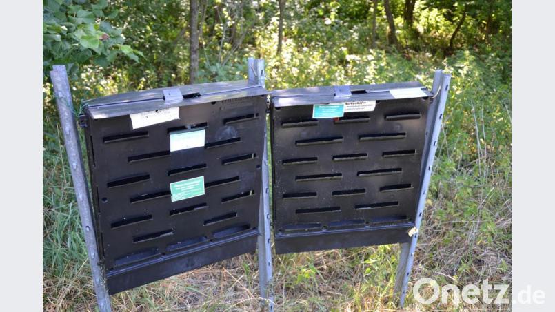 So sieht die Borkenkäfer-Messstation aus. Bild: Anne Wiesnet