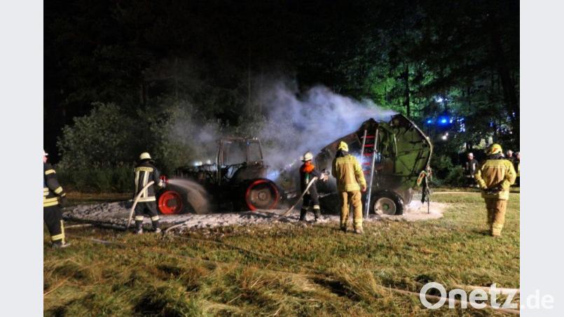 Die Feuerwehren konnten ein Ausbreiten des Feuers auf der Wiese verhindern. Bild: ils