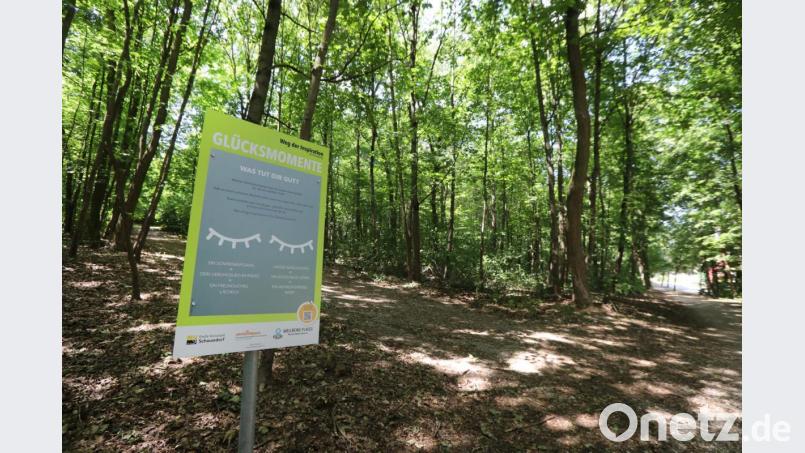 Auf einer Strecke von rund 1,5 Kilometern finden Besucher seit letzter Woche acht verschiedene Stationen zu Themen wie Achtsamkeit, eigene Stärken oder Glück. Bild: Gerhard Götz