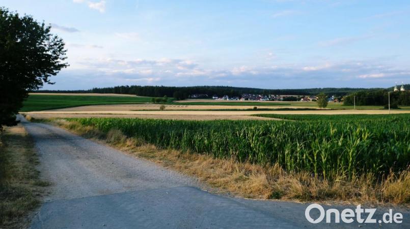 Im Zuge des sogenannten ILEK-Konzepts beschließen die Mitgliedsgemeinden als Handlungsfeld Sanierungsmaßnahmen für das landwirtschaftliche Kernwegenetz. Für die Gemeinde Speinshart zählt auch die Wegeverbindung Tremmersdorf-Haselhof zu den Ausbauwünschen. Bild: do