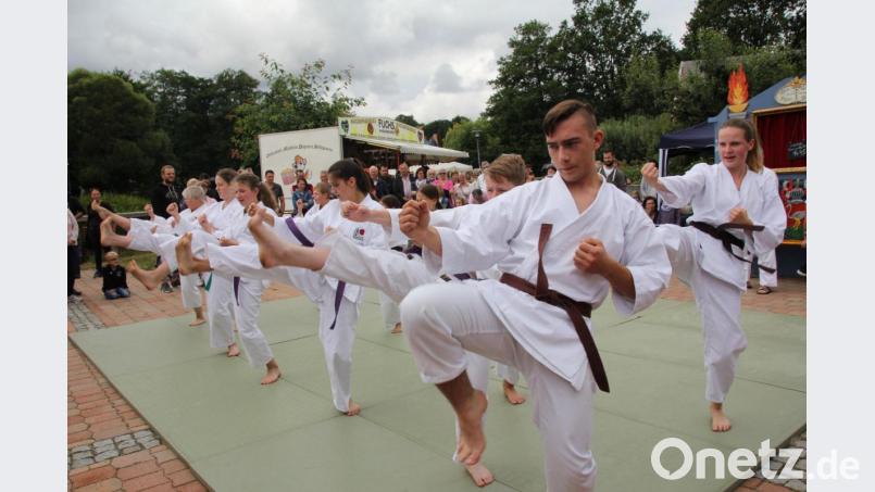 Der Karateverein Genbukan Oberviechtach zeigte am Sonntag tolle Vorführungen. Bild: frd