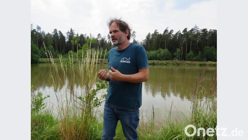 &quot;Die Wasservögel sind weg&quot;, berichtete der Arge-Sprecher Thomas Beer. von einem weiteren großen Problem, das der Fischotter seiner Meinung nach verursacht, weil er die Vogelbrut und die Vogeleierfrisst Bild: ubb