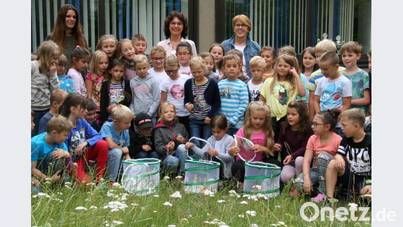 Nach mehreren Wochen der intensiven Beobachtung und Pflege wurden die Schmetterlinge freigelassen. Unser Bild zeigt einen Teil der Schüler mit ihren Klassenleitern Daniela Faltenbacher, Michaela Härtl und Christa Besold. Bild: fpoz