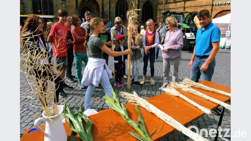 Langeweile kam für die Schülerinnen und Schüler der Realschule und des Max-Reger-Gymnasiums beim Landwirtschafts-Informationstag auf dem Amberger Bauernmarkt nicht auf, wie etwa am „Getreidestand“, wo ALEF-Pflanzenbauberater Wolfgang Wittmann (r.) die gängigen Getreidesorten erklärte. Bild: gfr