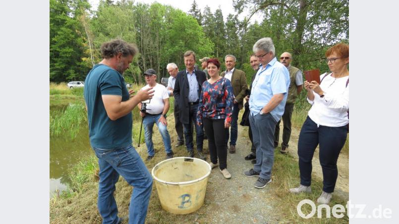 Für die Gäste fischte Thomas Beer ein paar kleine Karpfen aus seinem Teich. Bild: ubb