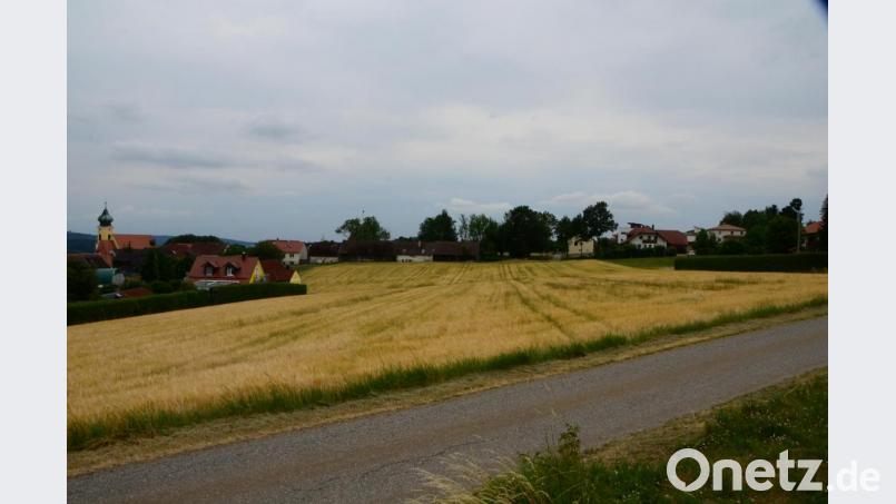 Eventuell können in Roggenstein am Steinbühlweg oder an der Pfarrer-Kreuzer-Straße bald Bauplätze entstehen. Ein Vorbescheid soll von der Baugenehmigungsbehörde Klarheit bringen. Erst dann will die Stadt das Grundstück vom Eigentümer erwerben. Bild: dob