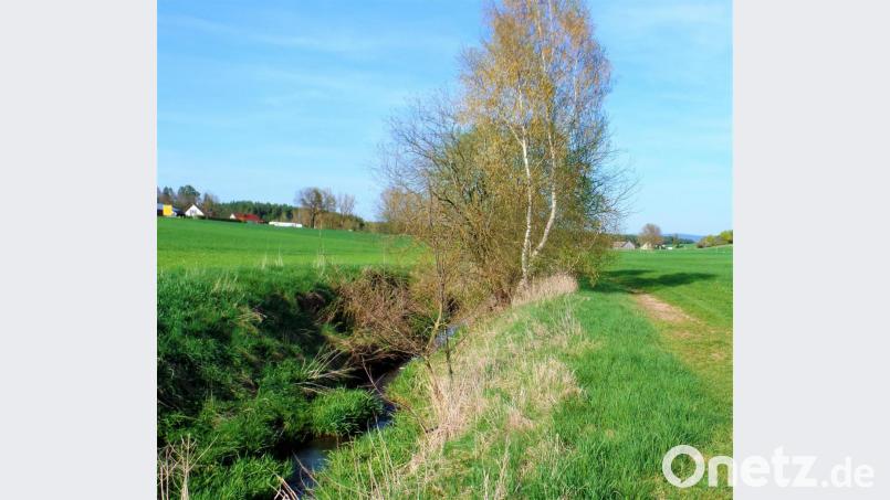 Im nächsten Frühjahr soll endlich das Radeln entlang des Eichelbaches möglich sein. Bild: jml