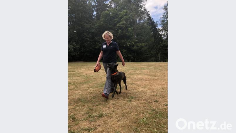 Ulrike Zimmermann, eine der Teilnehmerinnen, führt ihren Rüden vor. Bild: ksi