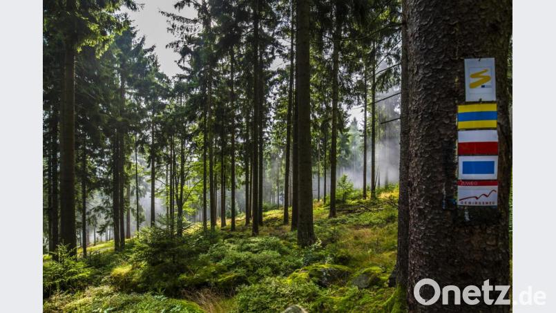 Im Oberpfälzer Wald hat der Wanderer die Qual der Wahl. Wie hier am Goldsteig bei der Burgruine Weißenstein im Steinwald sind viele schöne Wanderwege gut beschildert: ein Verdienst von Wegepaten. Bild: exb