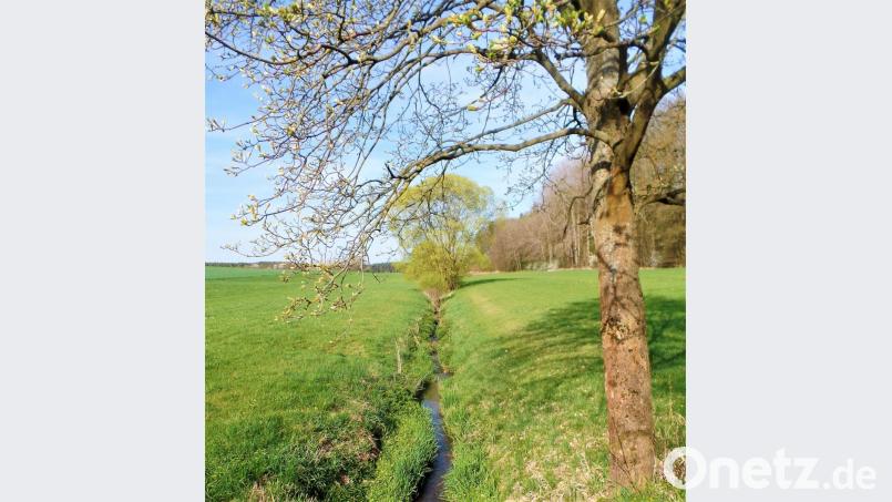 Im nächsten Frühjahr soll endlich das Radeln entlang des Eichelbaches möglich sein. Bild: jml