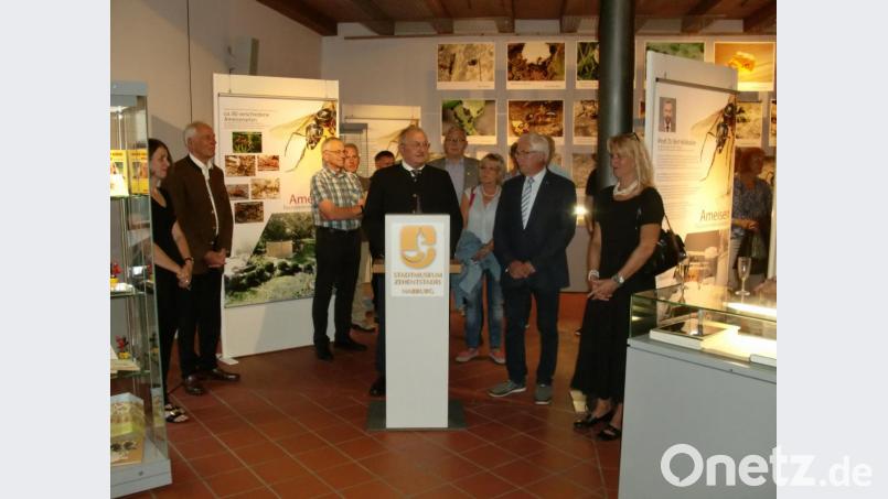 Hubert Fleischmann hat ein Herz für die Ameisen und freut sich, dass die kleinen Krabbler nun in der aktuellen Ausstellung &quot;ganz groß raus kommen&quot;. Bild: aub