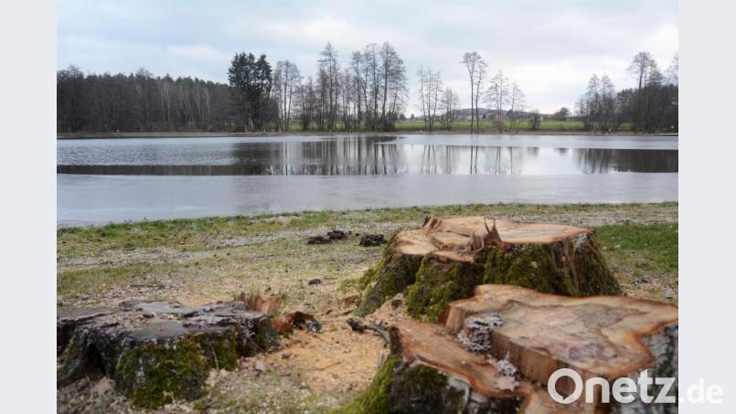 Sturm &quot;Fabienne&quot; richtete im Schätzlerbad enorm Schaden an. Die Lions wollen nun helfen und brauchen Unterstützung. Bild: Gabi Schönberger