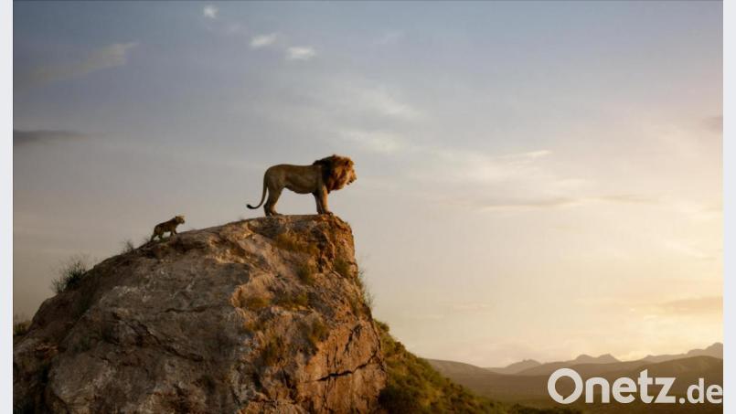 Die nächste Disney-Realverfilmung: "Der König der Löwen" kommt ins Kino. Bild: Disney Enterprises/dpa