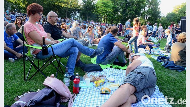 Der Max-Reger-Park ist eine riesige Picknick-Wiese. Bild: Kunz