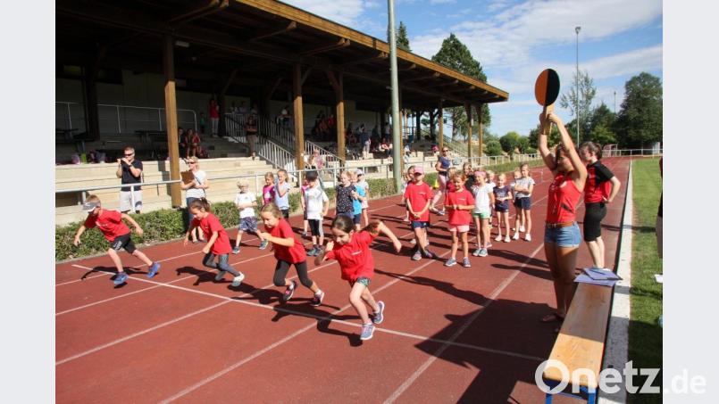 2. Kreisschülerrunde Kinderleichtathletik in Wiesau Bild: wro
