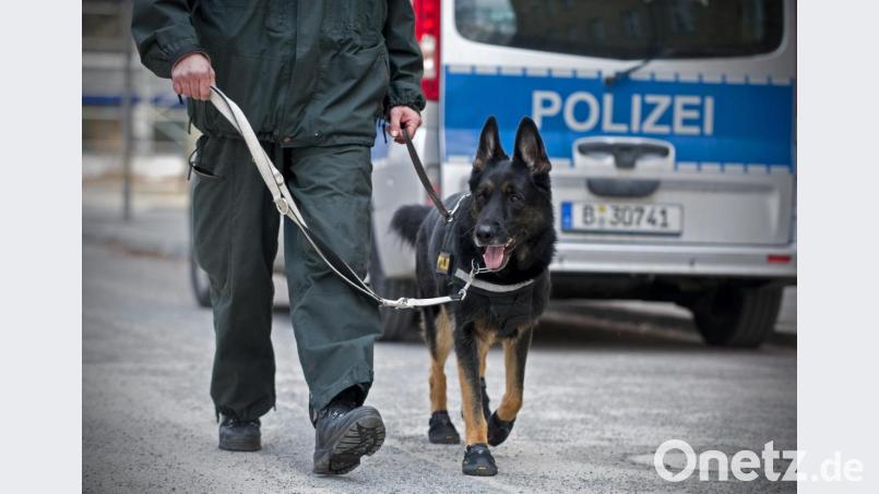 In Schnaittenbach wird ein Mann vermisst. Die Polizei sucht unter anderem mit Hunden nach dem 80-Jährigen. Symbolbild: Jan-Philipp Strobel/dpa