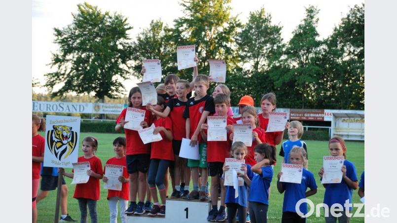 Den ersten Rang in der Altersklasse U 10 sicherten sich die "TB-Runners" vom gastgebenden Turnerbund Jahn aus Wiesau. Bild: wro