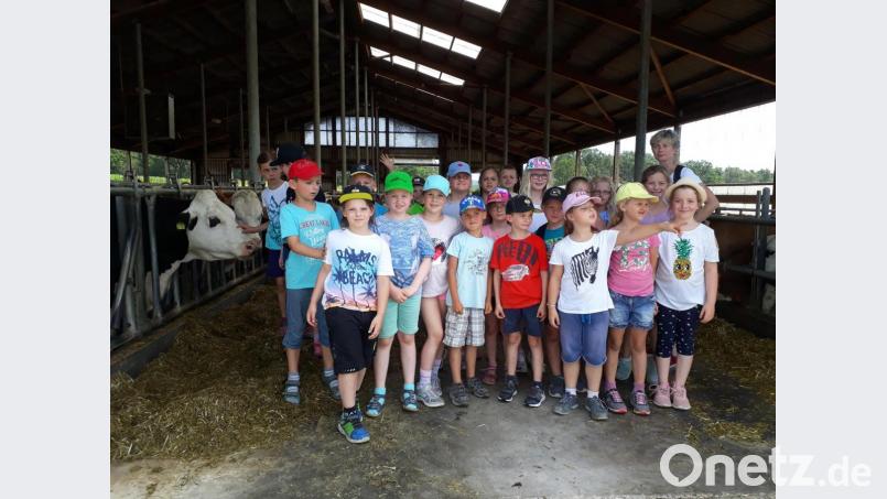 Auf dem Aussiedlerhof erfahren die Kinder viel über die heimische Landwirtschaft. Bild: egl