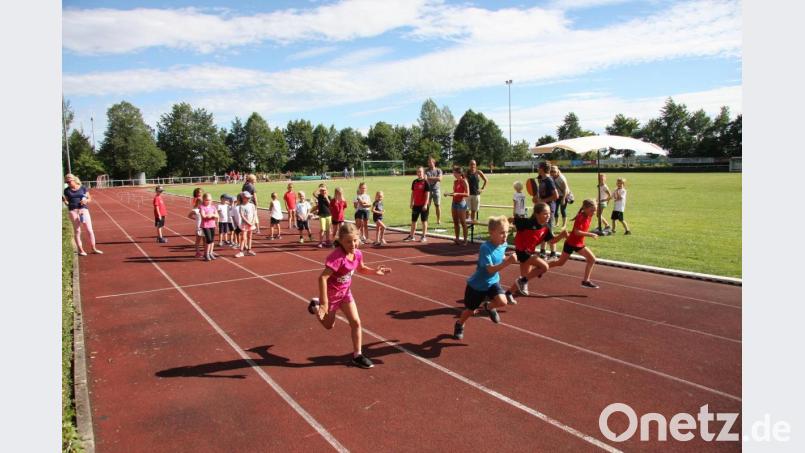 2. Kreisschülerrunde Kinderleichtathletik in Wiesau Bild: wro