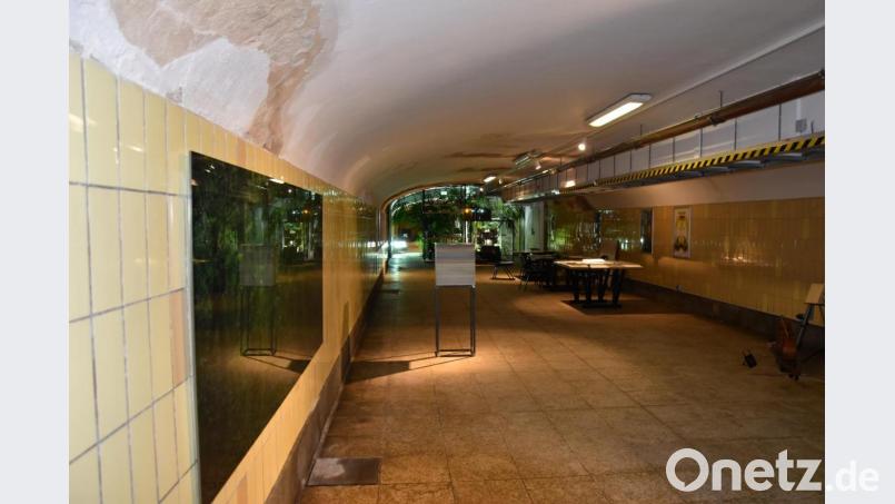 Der Verein Donumenta hat in der 60 Meter langen ehemaligen Unterführung des Regensburger Bahnhofs einem Kunstraum in der Öffentlichkeit geschaffen. Bild: mip