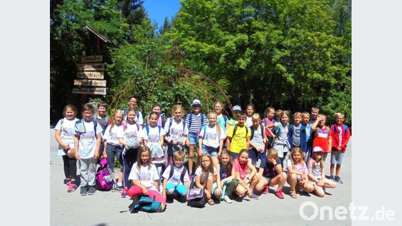 Die Viertklässler der Schulen Georgenberg, Pleystein und Waidhaus vergnügen sich erstmals bei einer gemeinsamen Abschlussfahrt nach Regensburg und in den Tierpark Höllohe. Bild: fjo