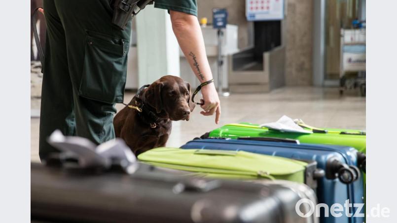 Für einige Urlaubsandenken interessiert sich auch der Zoll. Bild: Daniel Karmann/dpa