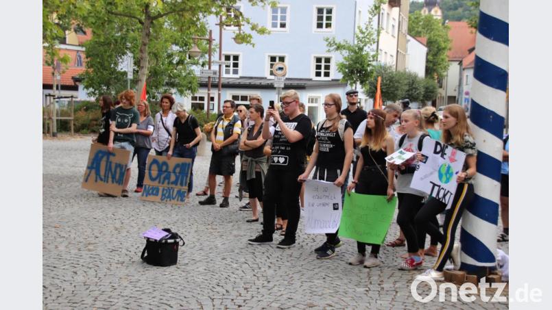 Um die 60 junge Leute und Erwachsene beteiligten sich an der ersten "Fridays for Future"-Kundgebung in der Stadt Schwandorf. Bild: Thomas Dobler