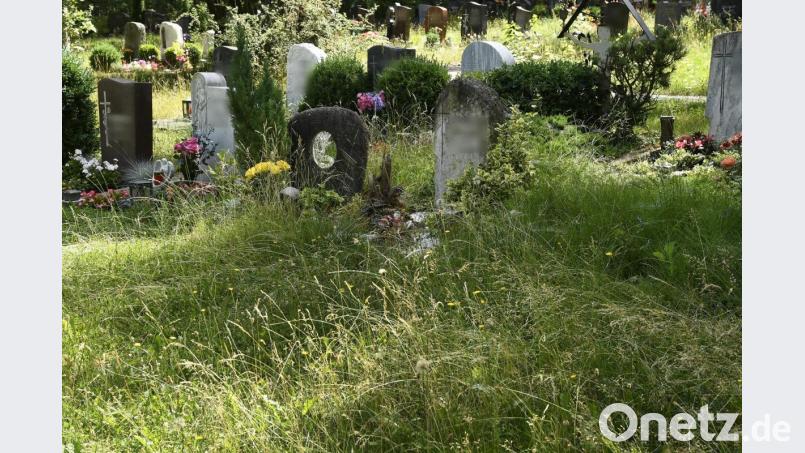 Das hohe Gras auf dem Raigeringer Waldfriedhof erschwert den Zugang zu den Gräbern. Bild: Petra Hartl
