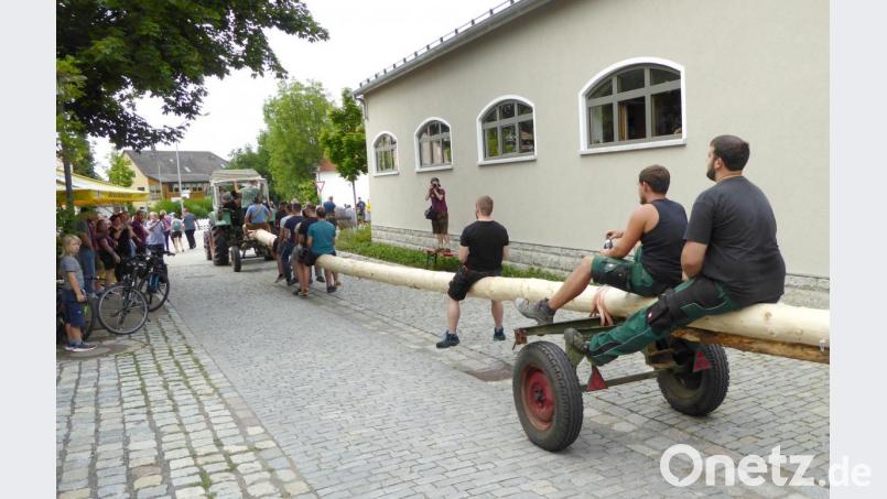 Der Baum wird mit dem Bulldog herantransportiert. Bild: fsb