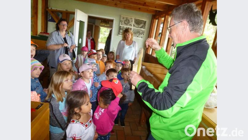 Kindergarten im Lehrbienenhaus Bild: bk