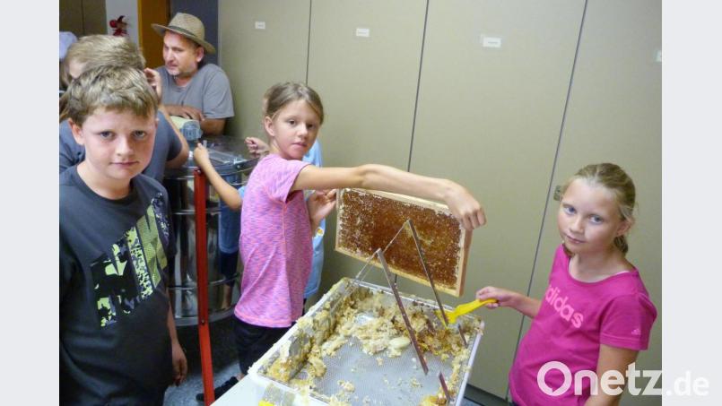 Beim Honigschleudern sind die Schüler der Arbeitsgemeinschaft Bienen mit Begeisterung bei der Sache. Bild: no