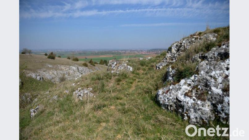 Das durch einen Meteoriteneinschlag entstandene Nördlinger Ries weist ähnliche Gesteinsstrukturen auf, wie sie auf dem Mond zu finden sind. Bild: Stefan Puchner