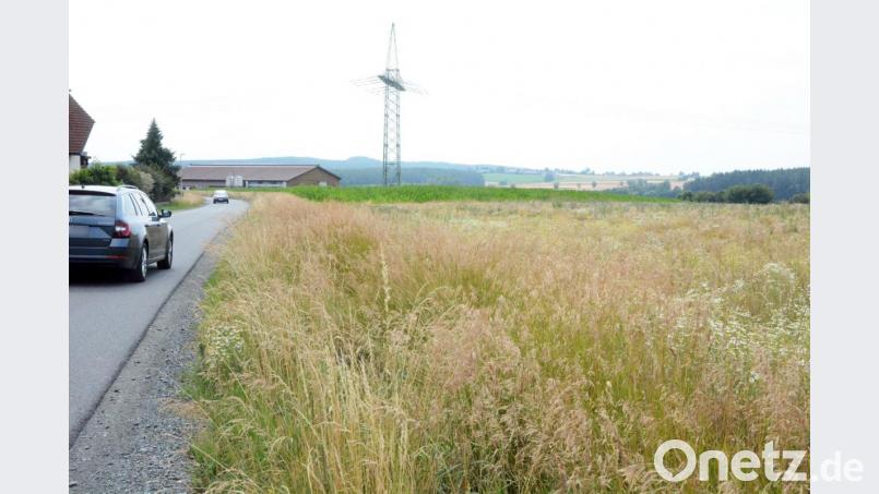 Diese wuchernden Grashalme hätten in den nächsten Wochen verschwinden sollen. Die Gemeinde wollte dort mit der Erschließung des Baugebiets &quot;Irchenrieth Mitte&quot; beginnen und hat die Arbeiten bereits ausgeschrieben. Doch ein Landwirt sieht dadurch seinen Hof (links hinten) bedroht. Bild: Gabi Schönberger