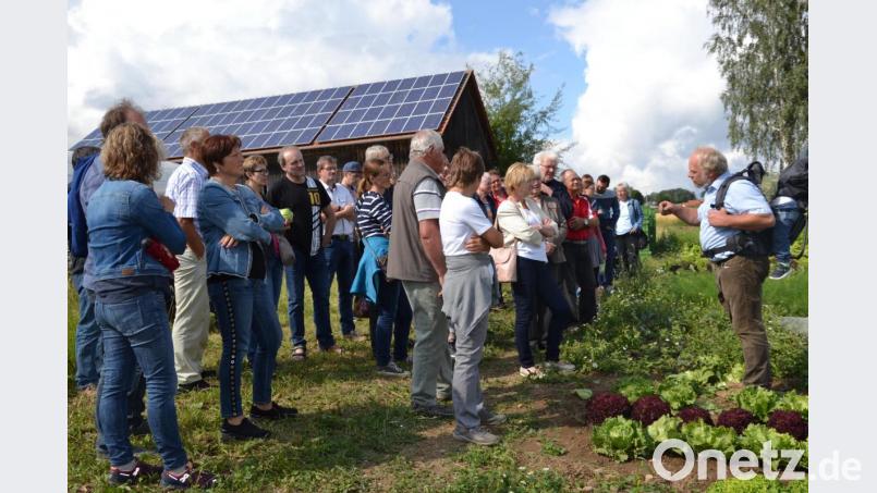 Inhaber Fritz Steinhilber von der Bioland-Gemüsegärtnerei führt die Besucher durch seine Felder. Bild: gi