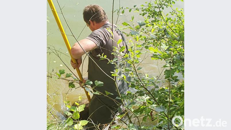 Ein Feuerwehrmann, bei dem Versuch, das Wildschwein zu retten. Bild: gri