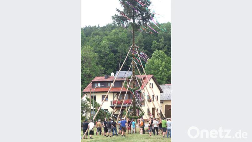 Zum 30-jährigen Jubiläum stellt die Kirwagemeinschaft Ritzenfeld einen prächtig gewachsenen Baum auf. Bild: no