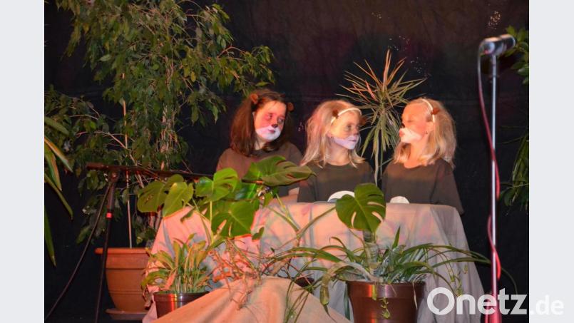 Die drei pfiffigen Erdmännchen Moja, Mbili und Tatu bringen die verfeindeten Giraffen und Zebras zur Vernunft. Bild: gi
