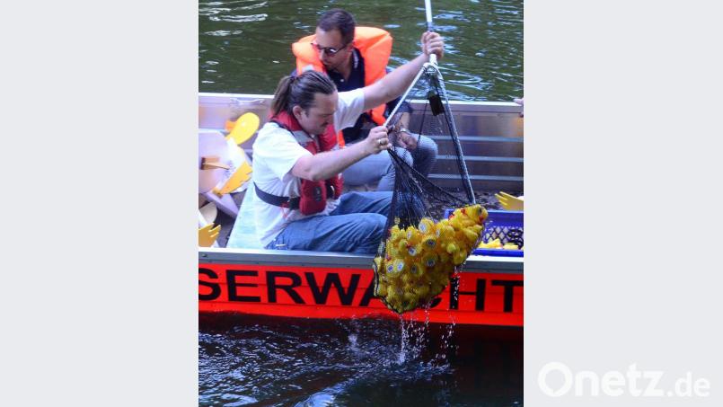 Nach dem Rennen müssen die Gummi-Enten wieder aus dem Wasser gefischt und die Gewinner ermittelt werden. Bild: Kunz