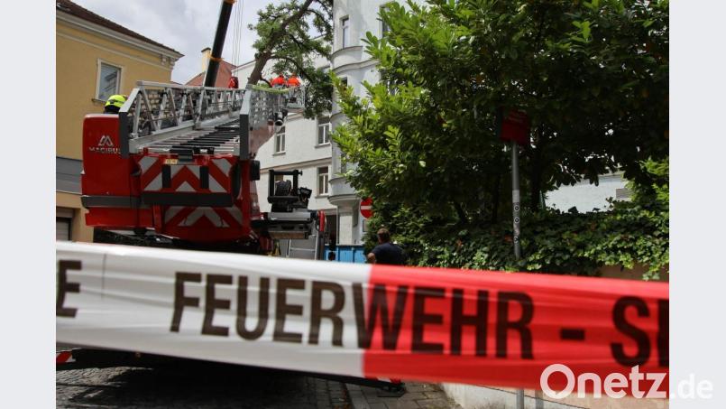 Am Montagvormittag lehnte ein Baum an einem Regensburger Hotel. Verletzt wurde niemand, allerdings gestaltete sich die Bergung schwierig. Bild: Alexander Auer