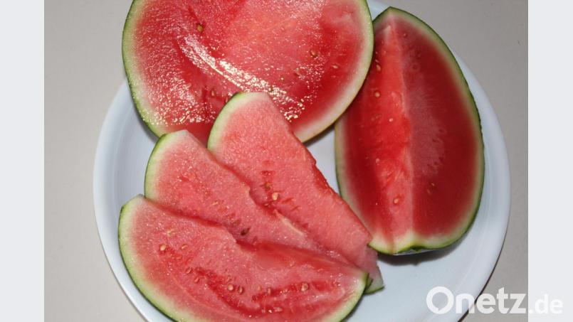 Irgendwelche Melonen? Nein. Diese Melonen sind aus Bayern. In Bamberg erprobt die Landesanstalt für Wein- und Gartenbau den Anbau der Wüstenfrucht auf fränkischem Acker. Bild: LWG