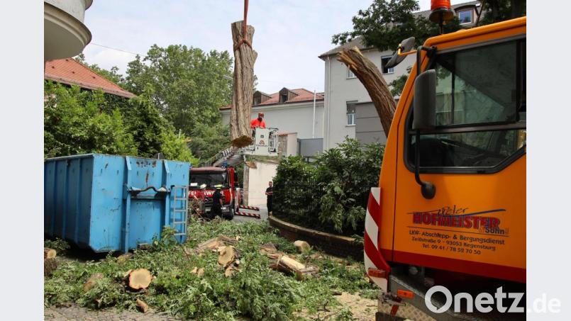 Am Montagvormittag lehnte ein Baum an einem Regensburger Hotel. Verletzt wurde niemand, allerdings gestaltete sich die Bergung schwierig. Bild: Alexander Auer