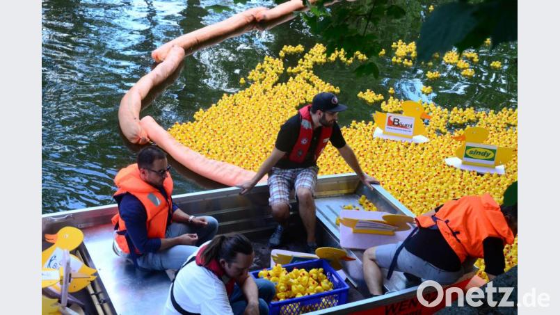 Nach dem Rennen müssen die Gummi-Enten wieder aus dem Wasser gefischt und die Gewinner ermittelt werden. Bild: Kunz