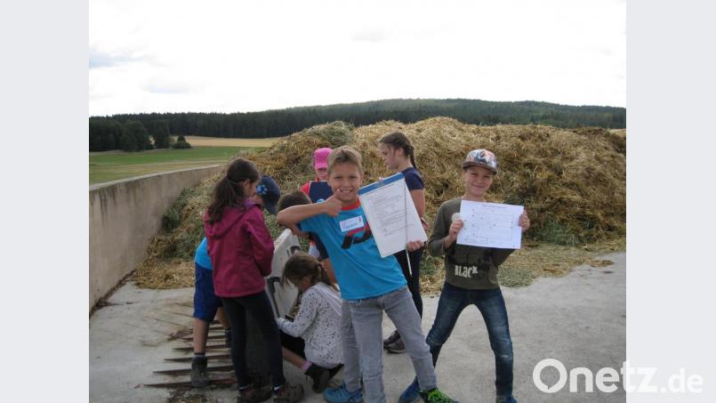 Die Hof-Rallye machte den Konnersreuther Grundschülern viel Spaß. Bild: exb